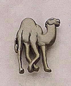 Camel