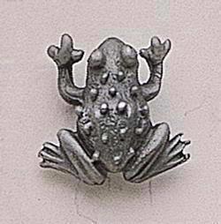 Frog / Toad