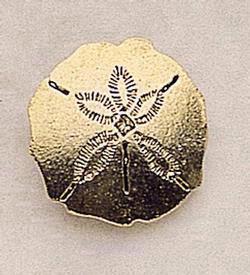Sand Dollar