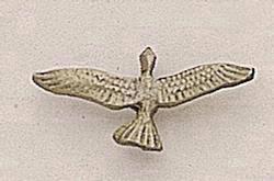 Seagull (top view)