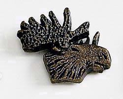 Moose Head