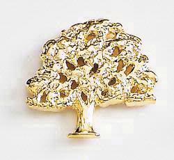 Oak Tree