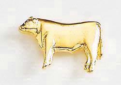 Steer